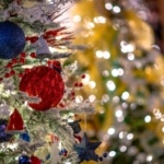 Festival of trees 2x