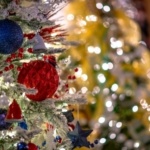 Festival of trees 2x