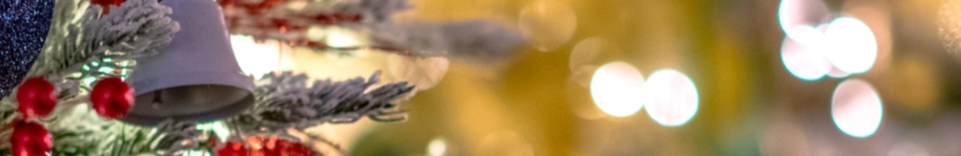 Festival of trees banner bg img