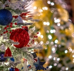 Festival of trees bg img