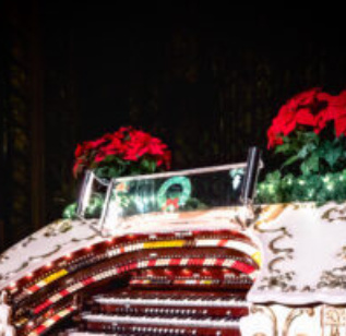 DSC 7067 Edit 353x192