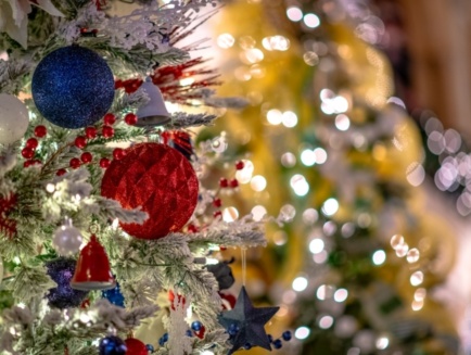 Festival of Trees img 2x