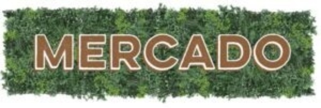 Mercado Greenery Logo 12 14 23 e1704999994977 300x101