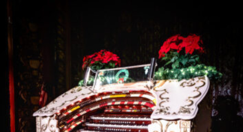 DSC 7067 Edit 353x192