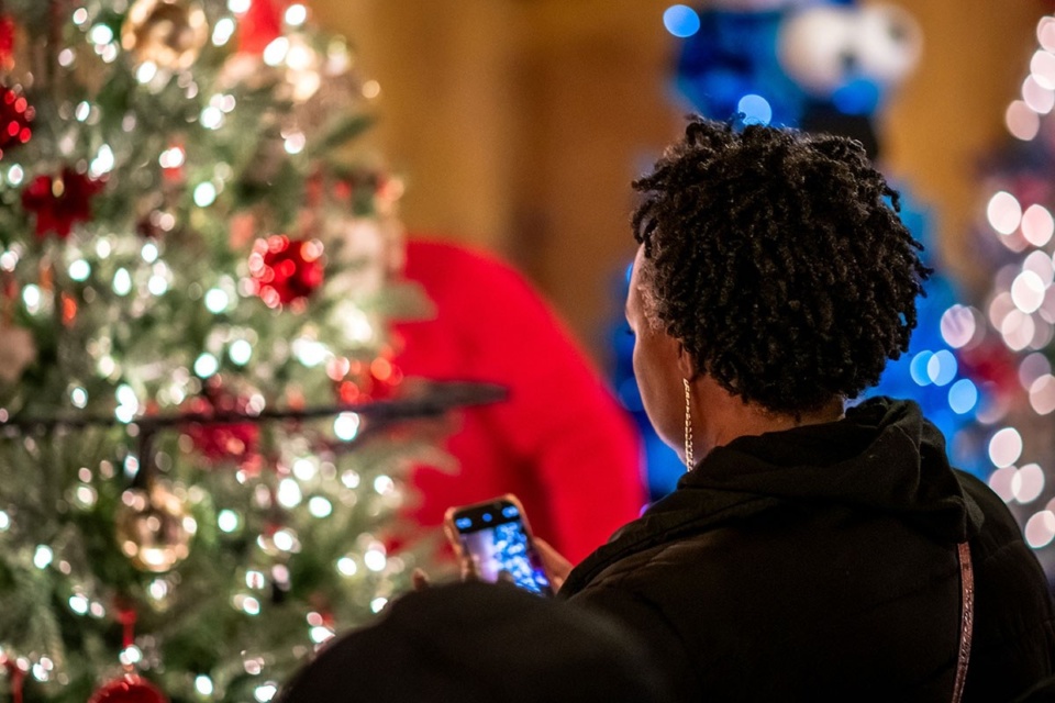Festival of Trees 4